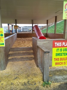 IMG_20141017_111603.675