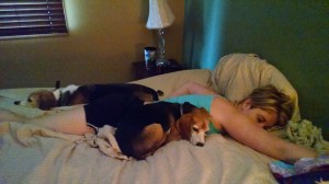 IMG_20150705_152819667