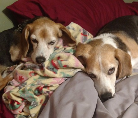 IMG_20170723_142117465